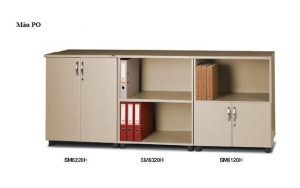 Tủ tài liệu thấp SM6120FH