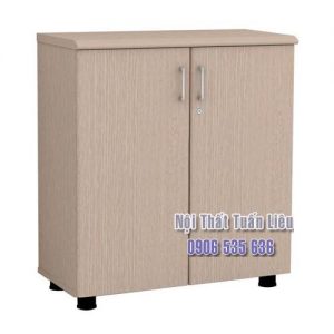 Tủ tài liệu NT880D